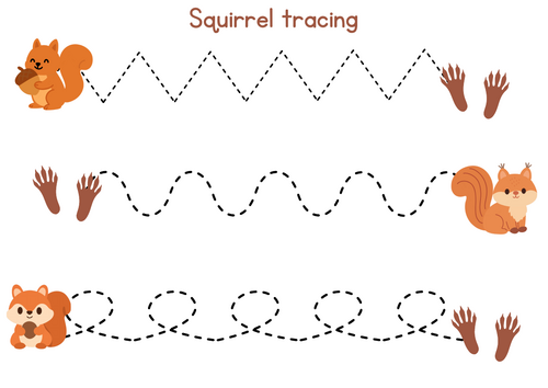 Squirrel mark making