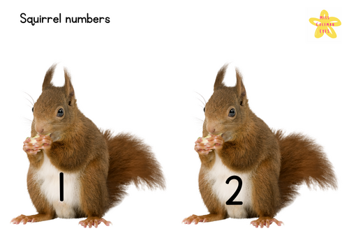 Squirrel numbers