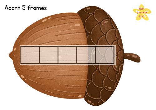 Acorn 5 frames
