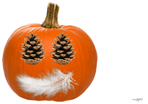 Autumn Pumpkin Faces