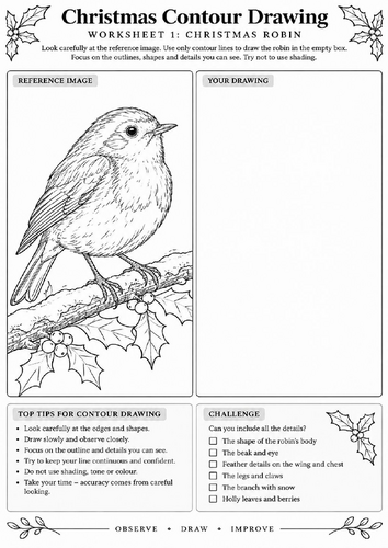 Christmas Robin Contour Drawing Worksheet | Christmas Art | KS3 KS4 | Observational Drawing
