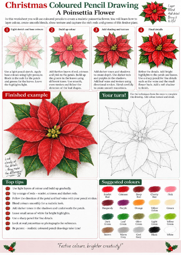 Christmas Poinsettia Coloured Pencil Drawing Worksheet | Botanical Art | KS3 KS4