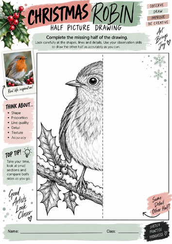 Christmas Robin Half Picture Drawing Worksheet | KS3 KS4 Art | Festive Observational Drawing