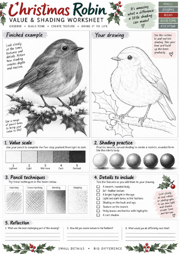 Christmas Robin Value & Shading Worksheet | Pencil Drawing & Texture Art | KS3 KS4