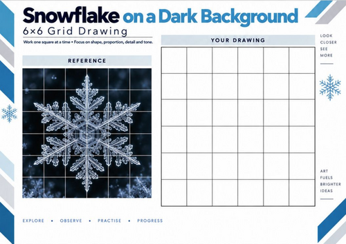 Snowflake Grid Drawing Worksheet | Contrast & Winter Art | KS3 KS4