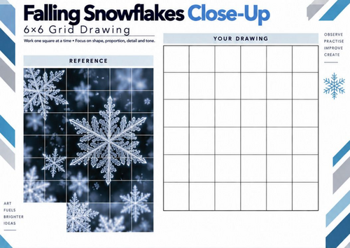Falling Snowflakes Close-Up Grid Drawing Worksheet | Winter Art KS3 KS4