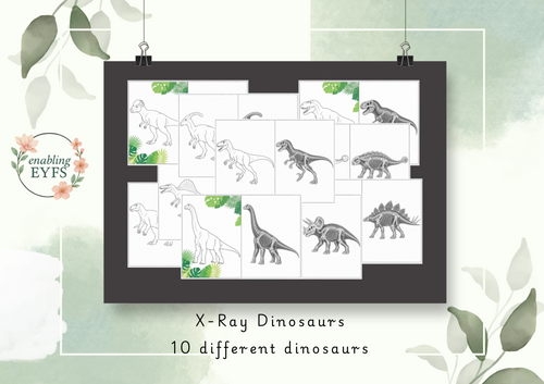 X-Ray Dinosaurs - 10 Dinosaur Light Exploration Cards