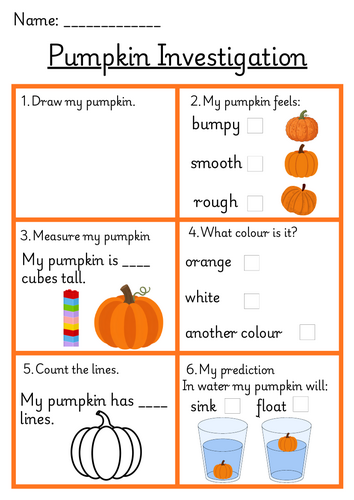 Pumpkin Investigation- EYFS