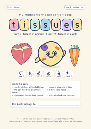 Tissues - KS3 Dyslexia-Friendly Workbook (7Ac)