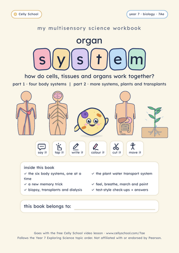 Organ systems - KS3 Dyslexia-Friendly Workbook (7Ae)