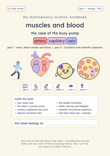 Muscles and blood - KS3 Dyslexia-Friendly Workbook (7Cb)