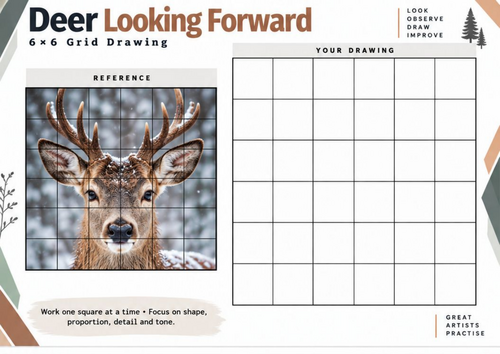 Deer Looking Forward Grid Drawing Worksheet | Wildlife Portrait Art | KS3 KS4