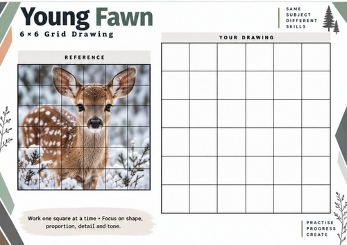 Young Fawn Grid Drawing Worksheet | Baby Deer Wildlife Art Activity | KS3 KS4