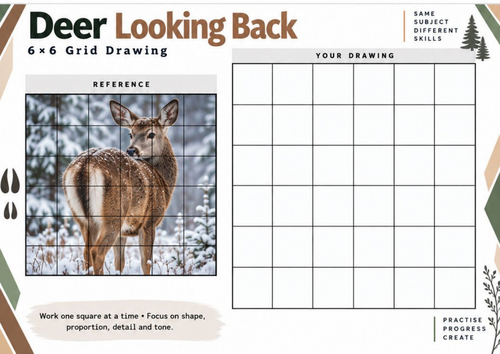 Deer Looking Back Grid Drawing Worksheet | Wildlife Art Activity | KS3 KS4