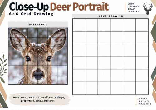 Close-Up Deer Portrait Grid Drawing Worksheet | Animal Portrait Art | KS3 KS4