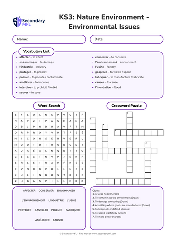 KS3 French Activity Pack: Environmental Issues & Verbs