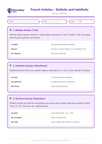 KS3 & KS4 French Grammar Worksheet: Mastering Definite and Indefinite Articles
