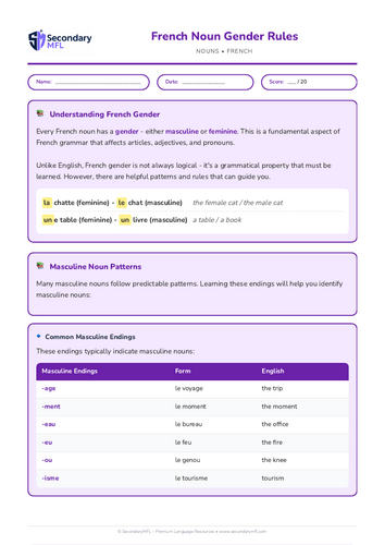 KS3 & KS4 French Grammar Worksheet: Master Noun Gender Rules