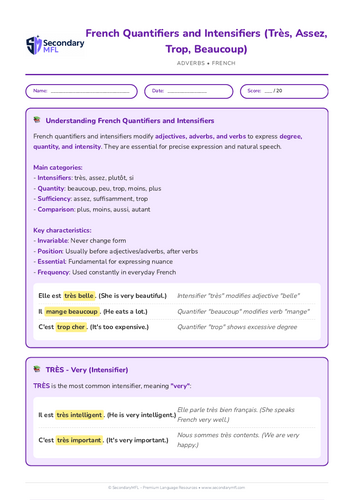 KS3 & KS4 French Grammar Worksheet: Quantifiers & Intensifiers in Context