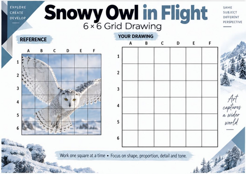 Snowy Owl in Flight Grid Drawing Worksheet | Bird Wildlife Art | KS3 & KS4