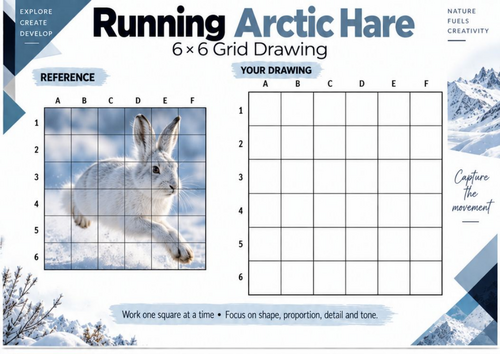Running Arctic Hare Grid Drawing Worksheet | Animal Movement Art | KS3 & KS4