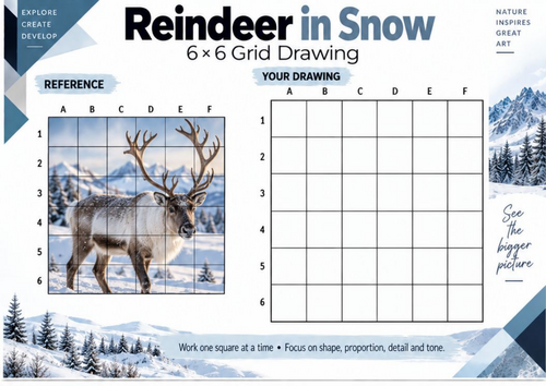 Reindeer in Snow Grid Drawing Worksheet | Winter Animal Art Activity | KS3 & KS4