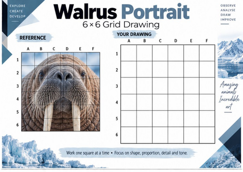 Walrus Portrait Grid Drawing Worksheet | Arctic Wildlife Art Activity | KS3 & KS4