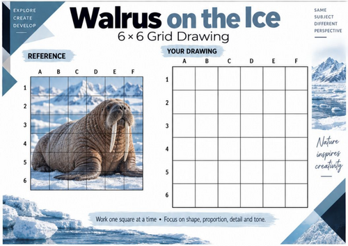 Walrus on the Ice Grid Drawing Worksheet | Arctic Animal Art | KS3 & KS4
