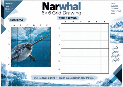 Narwhal Grid Drawing Worksheet | Arctic Ocean Wildlife Art Activity | KS3 & KS4