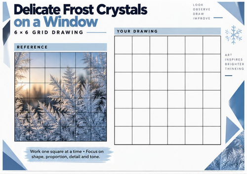 Delicate Frost Crystals on a Window Grid Drawing Worksheet | Winter Art KS3 KS4