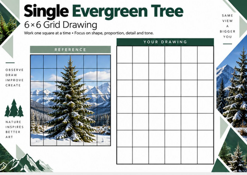 Single Evergreen Tree Grid Drawing Worksheet | Nature Art | KS3 KS4
