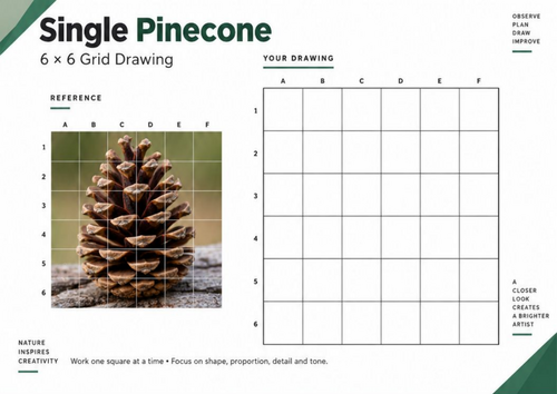 Single Pinecone Grid Drawing Worksheet | Nature Observational Drawing | KS3 KS4 Art