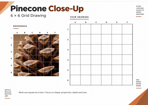 Pinecone Close-Up Grid Drawing Worksheet | Texture & Detail | KS3 KS4 GCSE Art