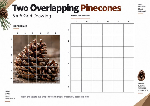 Two Overlapping Pinecones Grid Drawing Worksheet | Still Life Art | KS3 KS4 GCSE