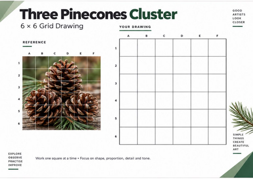 Three Pinecones Cluster Grid Drawing Worksheet | Nature Still Life | KS3 KS4 Art