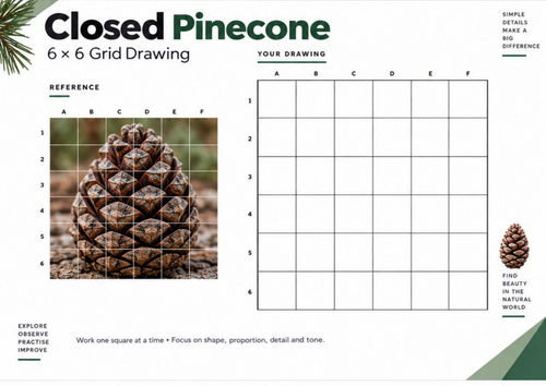 Closed Pinecone Grid Drawing Worksheet | Botanical Observational Drawing | KS3 KS4