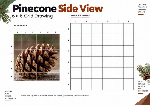 Pinecone Side View Grid Drawing Worksheet | Observational Nature Art | KS3 KS4 GCSE