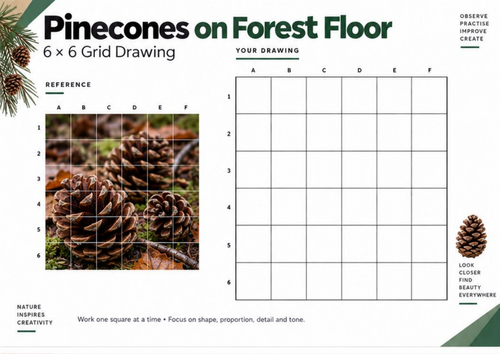 Pinecones on Forest Floor Grid Drawing Worksheet | Woodland Still Life | KS3 KS4 GCSE