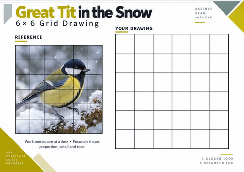 Great Tit in the Snow Grid Drawing Worksheet | Winter Wildlife Art | KS3 KS4