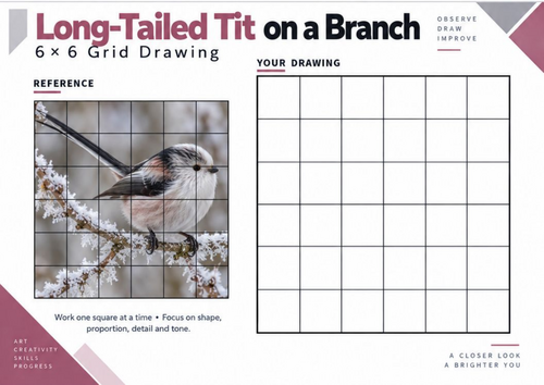Long-Tailed Tit on a Branch Grid Drawing Worksheet | Winter Wildlife | KS3 KS4 Art