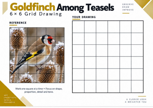 Goldfinch Among Teasels Grid Drawing Worksheet | Winter Bird Art | KS3 KS4
