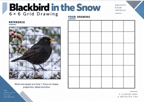 Blackbird in the Snow Grid Drawing Worksheet | Winter Wildlife Art | KS3 KS4