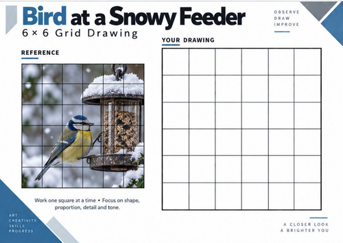 Bird at a Snowy Feeder Grid Drawing Worksheet | Winter Wildlife Art | KS3 KS4