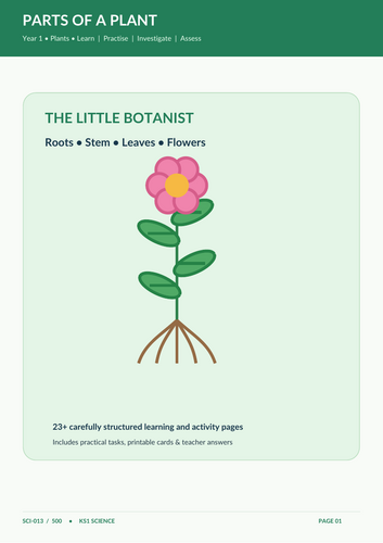 Parts of a Plant | Year 1 Science | KS1 Labelling Worksheets, Activities & Answers