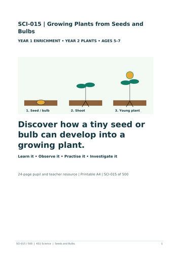 Growing Plants from Seeds and Bulbs | Year 2 Science | KS1 Worksheets & Investigations