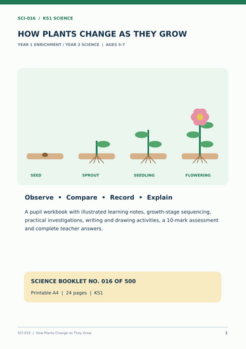 How Plants Change as They Grow | Year 2 Science | KS1 Worksheets & Growth Investigations