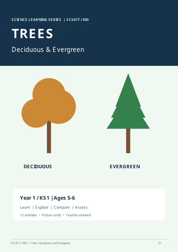 Deciduous and Evergreen Trees | Year 1 Science | KS1 Worksheets & Activities