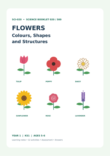 Flowers: Colours, Shapes and Structures | Year 1 Science | KS1 Worksheets & Activities