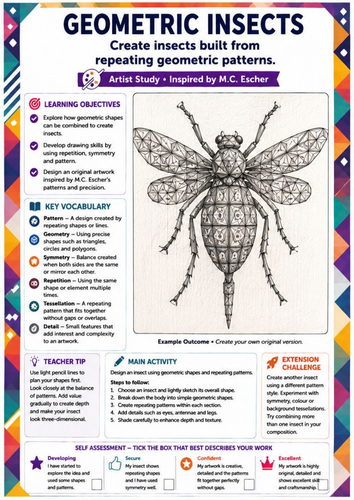 M.C. Escher Inspired Geometric Insects Drawing Worksheet | Shapes, Patterns & Symmetry | KS3 Art