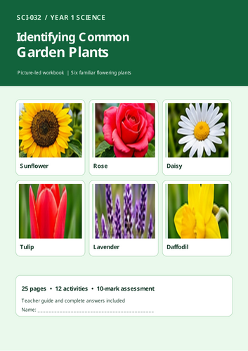 Identifying Common Garden Plants | Year 1 Science | KS1 Plant Identification Worksheets & Assessment